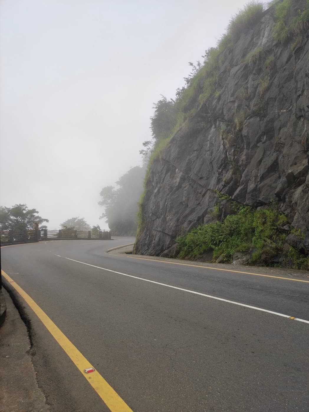 A road winding through the Western Ghats in monsoon mist