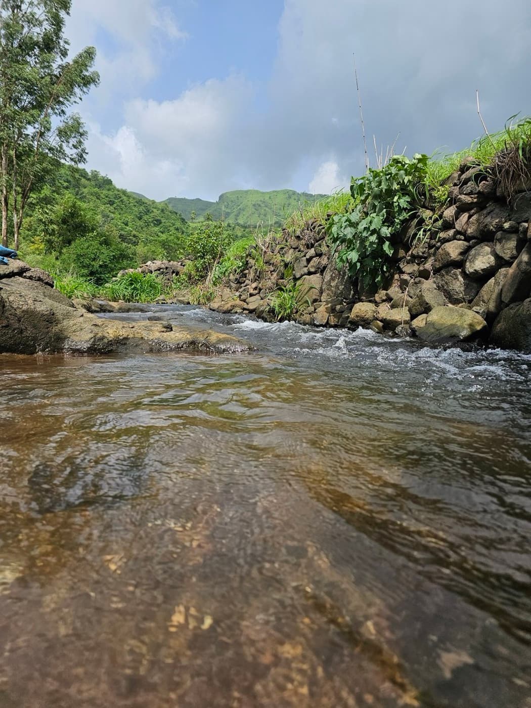 A clear monsoon stream running over rock in the Western Ghats